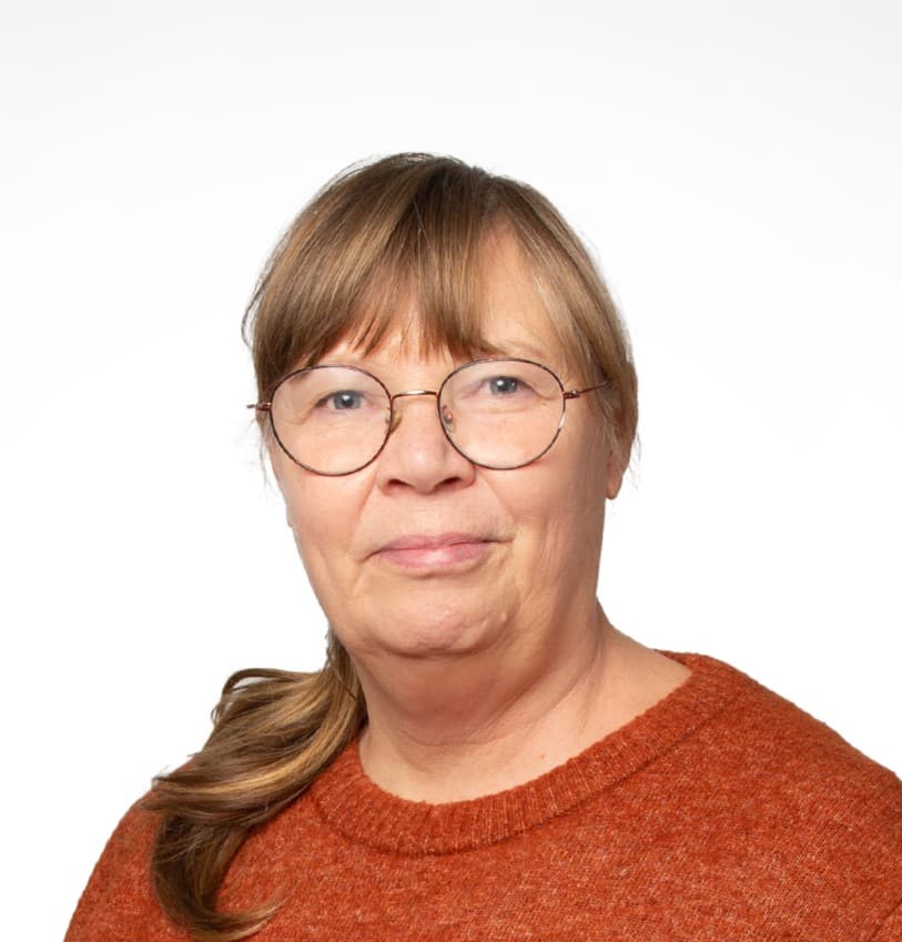 Anne Nurminen — Pihlajalinna