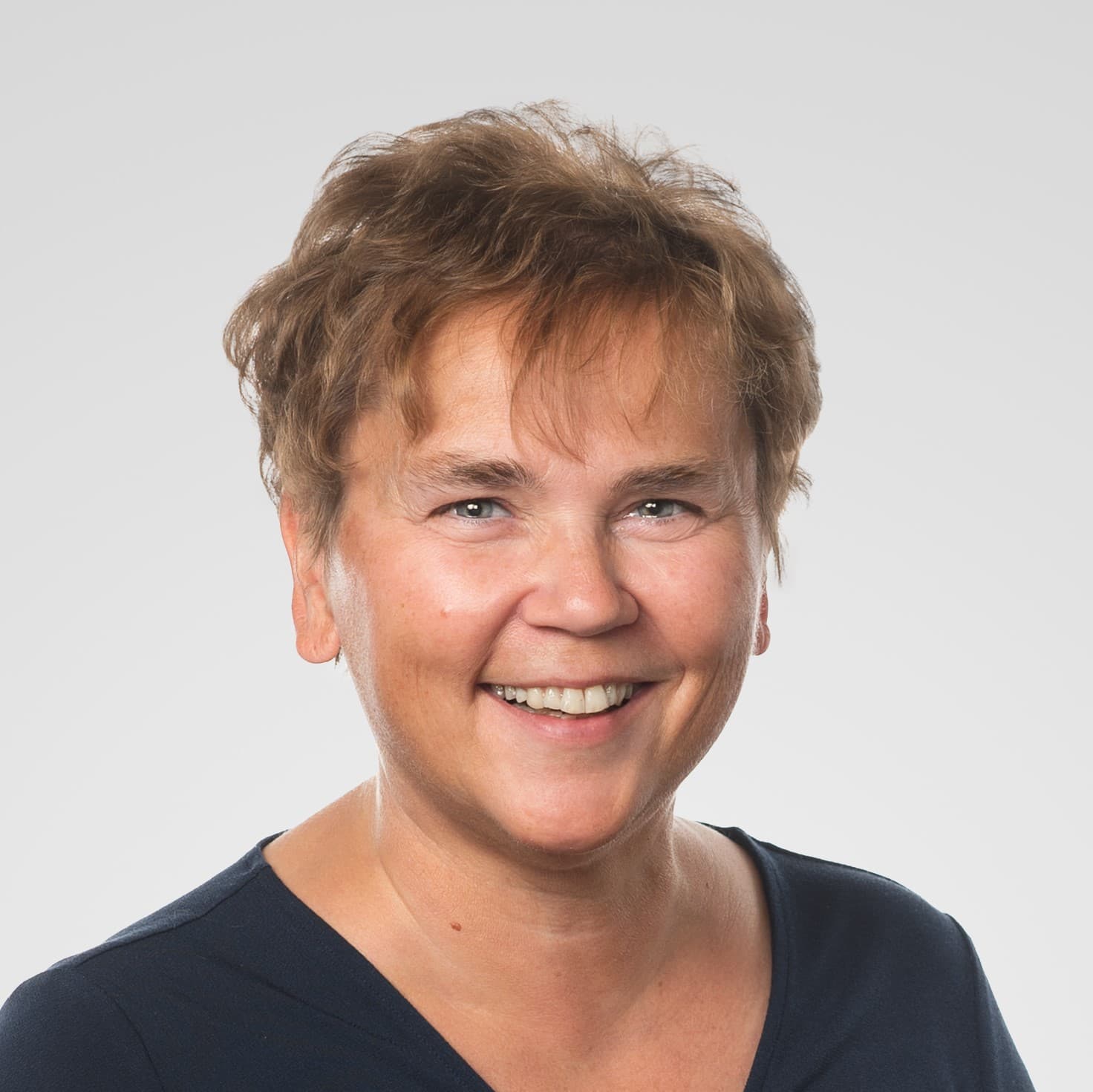 Anne Koivuneva — Pihlajalinna